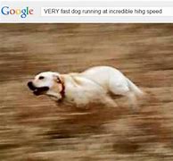 Image result for High Speed Impact Meme