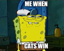 Image result for Winning Cat Meme