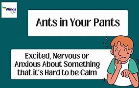 Image result for Idiom Ant