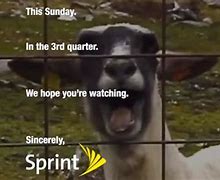 Image result for Sprint an Apology