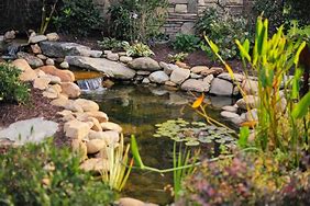Image result for Koi Fish Pond Ideas