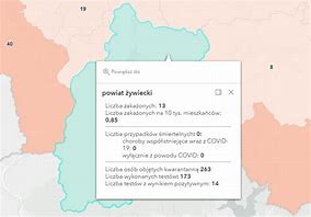 Image result for co_to_znaczy_zbąszyń_gmina
