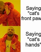 Image result for Cat Paw Meme