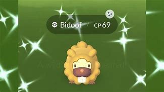 Image result for The Perfect Bidoof