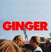 Image result for Brockhampton Ginger Album Cover