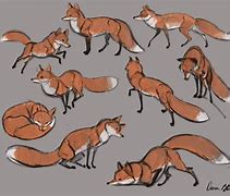 Image result for Fox Drawing for Kids