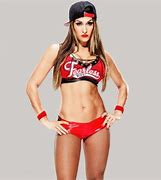 Image result for WWE Nikki Bella Toys