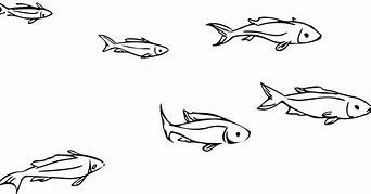 Image result for Fish Clip Art No Background