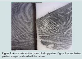 Image result for Crime Scene Fingerprints