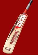 Image result for Professional Cricket Bat