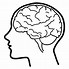 Image result for Human Brain Line Art