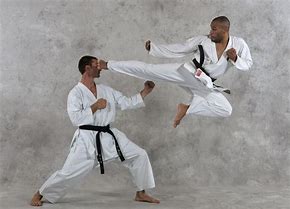 Image result for Karate Fight