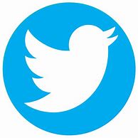 Image result for Twitter Logo White Circle