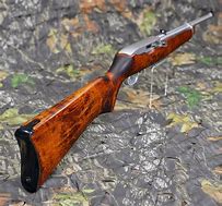 Image result for 10 22 Wood Stock