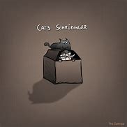 Image result for Schrodinger's Cat Meme