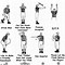 Image result for Football Referee Hand Signals Chart