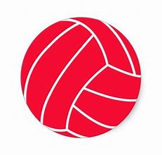 Image result for Volleyball