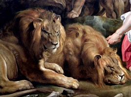 Image result for Lion iPhone Case
