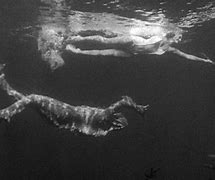 Image result for Creature From the Black Lagoon Movie