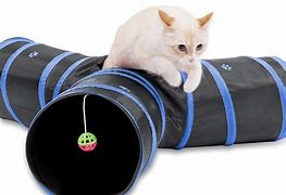 Image result for Most Popular Cat Toys