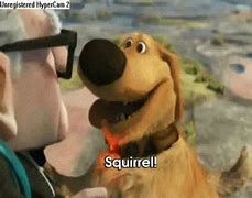 Image result for Up Movie Dog Squirrel GIF
