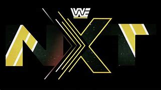 Image result for WWE NXT Custom Logo