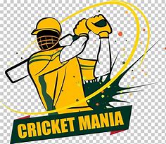 Image result for Cricket Sport Logo