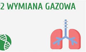 Image result for wymiana_gazowa