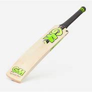 Image result for Pro Cricket Bat