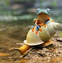 Image result for Frog Home Screen