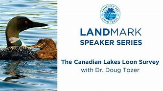 Image result for Landmark Speaker Ad