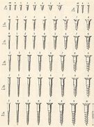 Image result for Small Screw Sizes