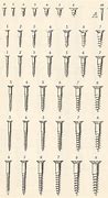 Image result for Screw Base Sizes