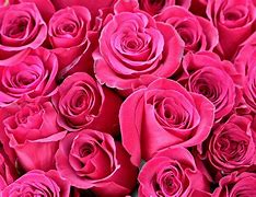 Image result for Ajfon 5 Roze