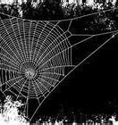 Image result for Spider Web Screen iPhone
