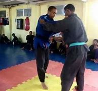 Image result for Scorpion Hapkido