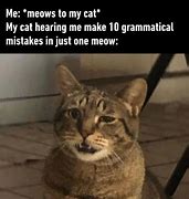 Image result for Me High Talking to My Cat Meme
