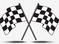 Image result for Racing Flag Set