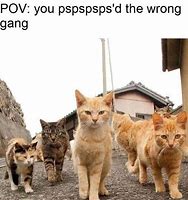 Image result for Droid Saying Gang Gang Meme