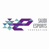 Image result for Saudi Arabia eSports Federation