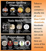 Image result for Cigarettes Ingredients List