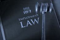Image result for Employment Law Assignment