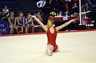 Image result for Olympic Gymnastics Equipment