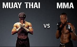 Image result for Muay Thai vs MMA