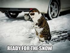 Image result for Cute Snow Animal Memes