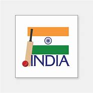 Image result for Cricket Stickers