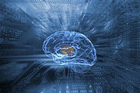 Image result for Brain Science in Education And