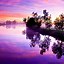 Image result for Purple Nature Wallpaper iPhone