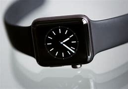 Image result for Apple Watch Carabiner Case