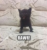 Image result for Rawr Cat Meme